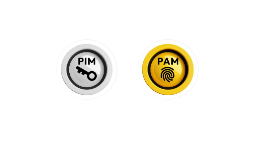 PAM / PIM Solutions
